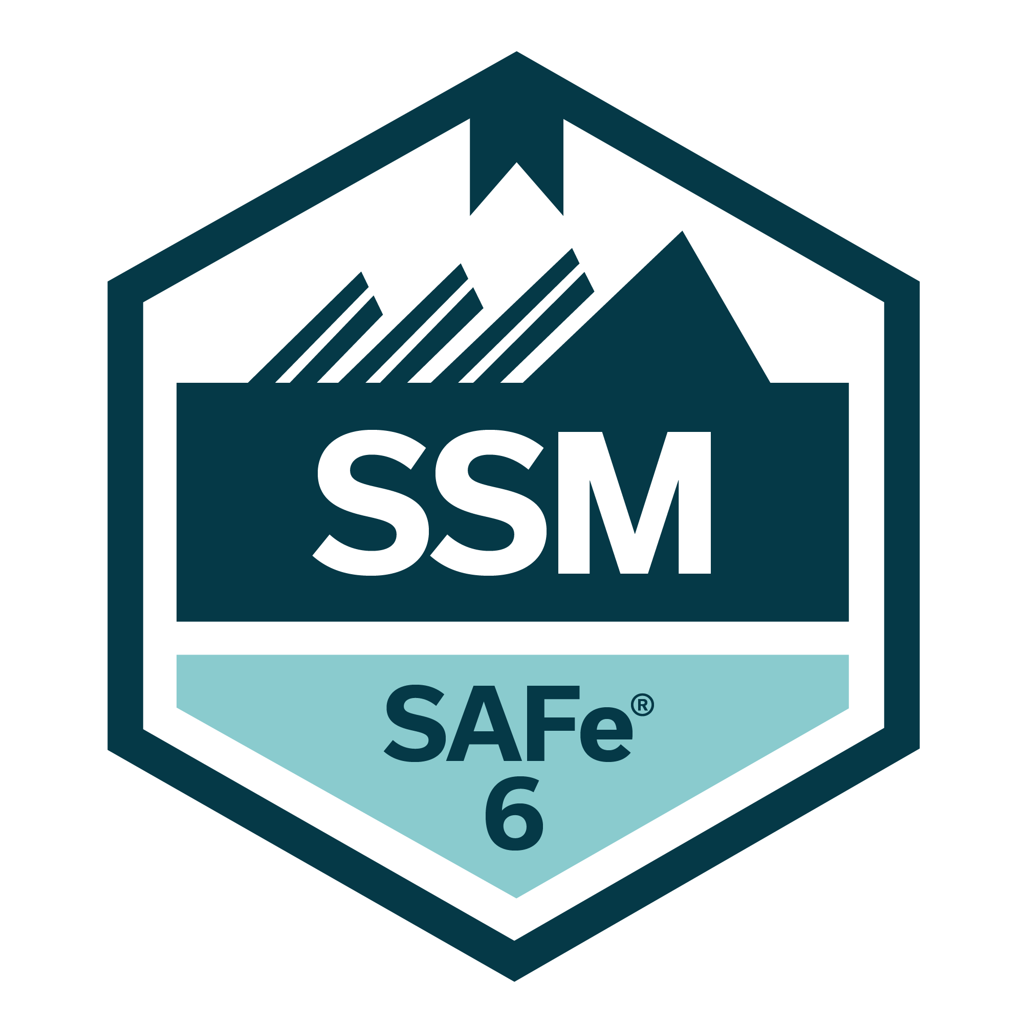 Certified SAFe® Scrum Master